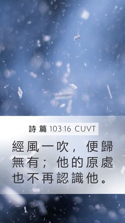詩 篇 103:16 CUVT Mobile Phone Wallpaper - 經 風 一 吹 ， 便 歸 無 有 ； 他 的 - Mobile Bible Verse Wallpaper