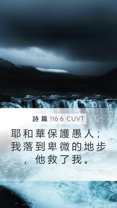 詩 篇 116:6 CUVT Bible Verse Image