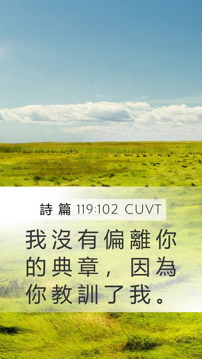 詩 篇 119:102 CUVT Mobile Phone Wallpaper - 我 沒 有 偏 離 你 的 典 章 ， 因 為 - Mobile Bible Verse Wallpaper