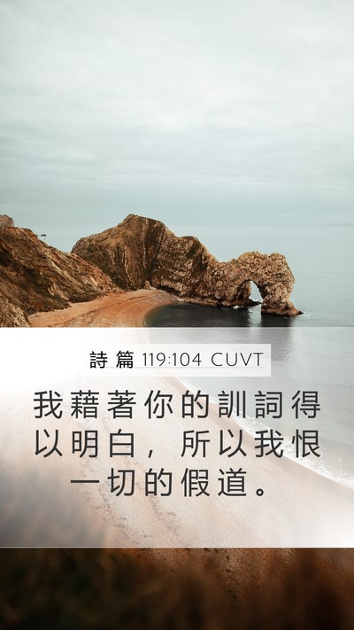 詩 篇 119:104 CUVT Bible Verse Image
