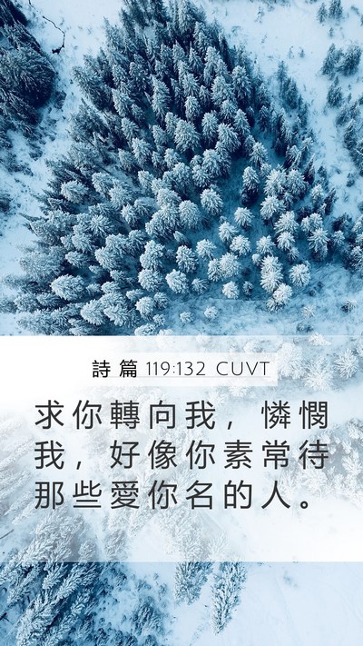 詩 篇 119:132 CUVT Bible Verse Image