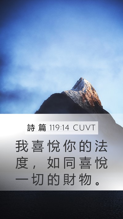 詩 篇 119:14 CUVT Bible Verse Image