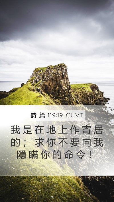 詩 篇 119:19 CUVT Bible Verse Image