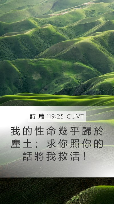 詩 篇 119:25 CUVT Bible Verse Image