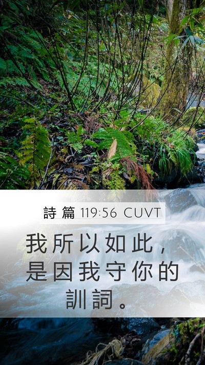 詩 篇 119:56 CUVT Mobile Phone Wallpaper - 我 所 以 如 此 ， 是 因 我 守 你 的 - Mobile Bible Verse Wallpaper