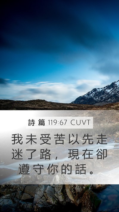 詩 篇 119:67 CUVT Bible Verse Image