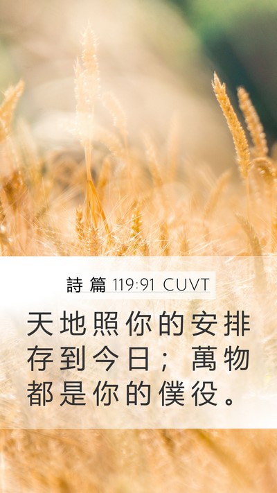 詩 篇 119:91 CUVT Mobile Phone Wallpaper - 天 地 照 你 的 安 排 存 到 今 日 ； - Mobile Bible Verse Wallpaper