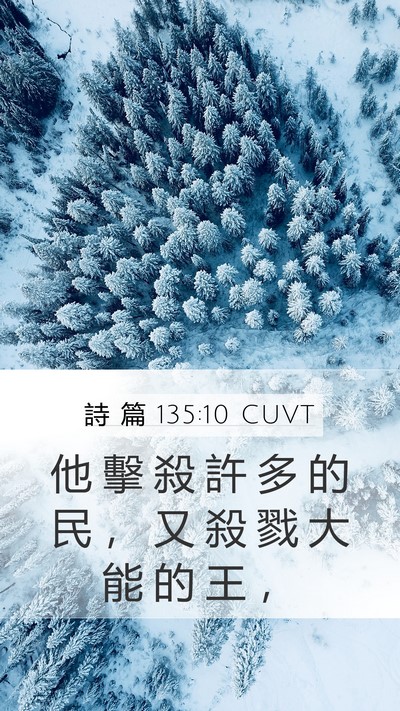 詩 篇 135:10 CUVT Bible Verse Image