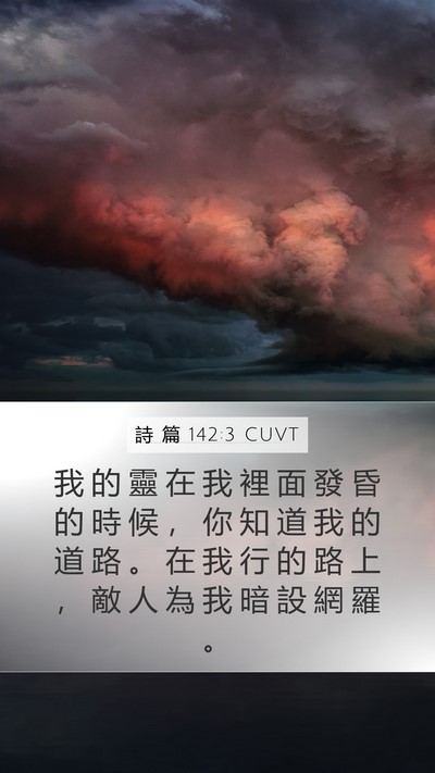 詩 篇 142:3 CUVT Bible Verse Image