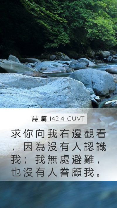 詩 篇 142:4 CUVT Bible Verse Image