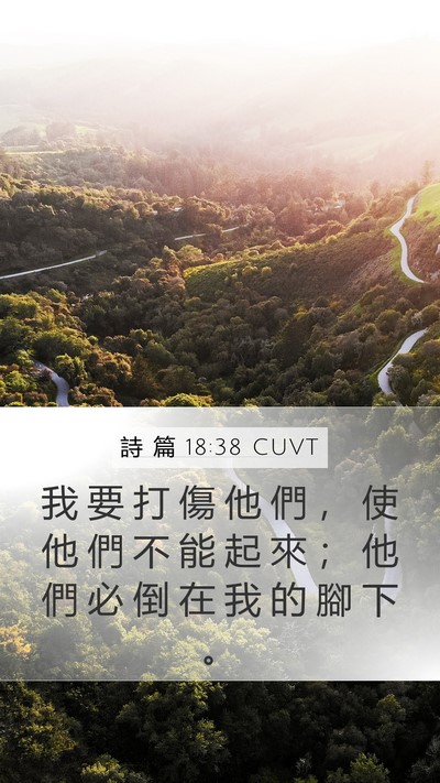詩 篇 18:38 CUVT Mobile Phone Wallpaper - 我 要 打 傷 他 們 ， 使 他 們 不 能 - Mobile Bible Verse Wallpaper