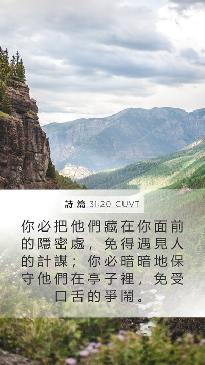 詩 篇 31:20 CUVT Bible Verse Image