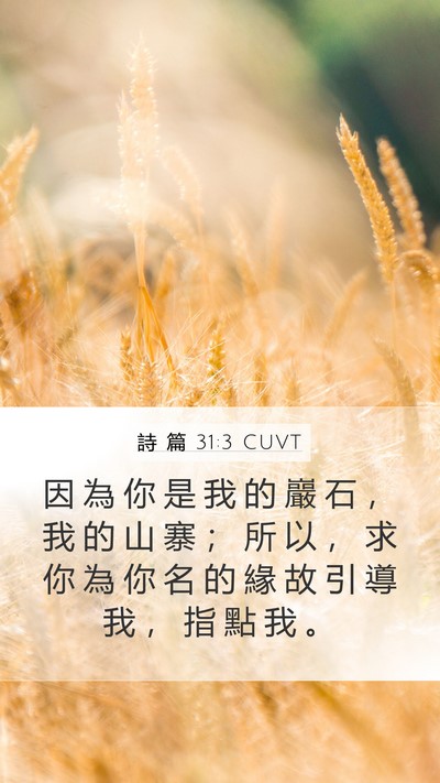 詩 篇 31:3 CUVT Bible Verse Image