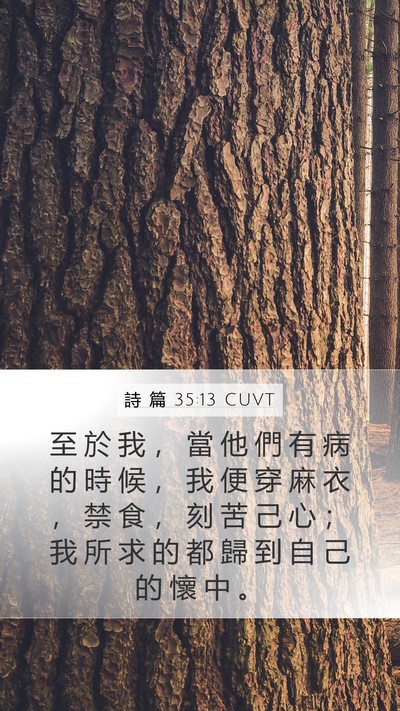 詩 篇 35:13 CUVT Bible Verse Image