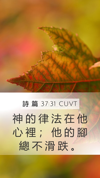 詩 篇 37:31 CUVT Bible Verse Image