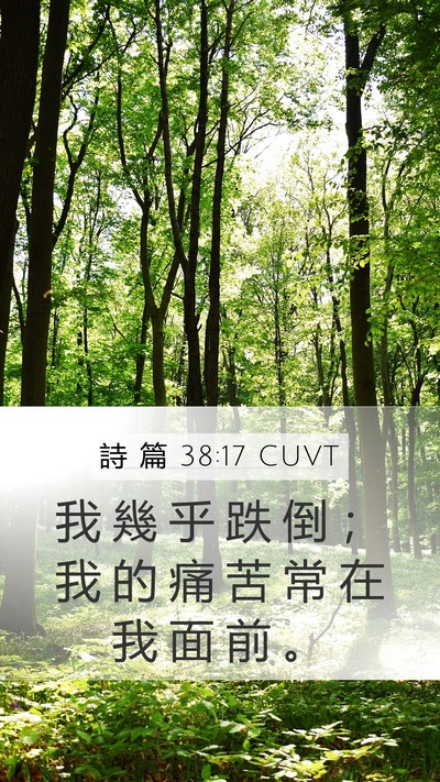 詩 篇 38:17 CUVT Bible Verse Image