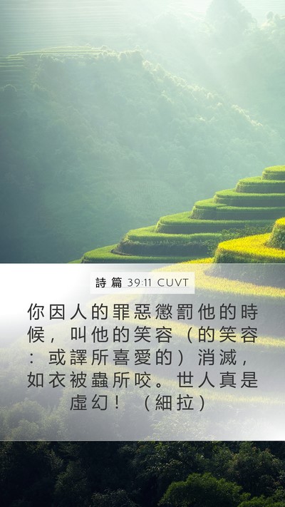 詩 篇 39:11 CUVT Bible Verse Image