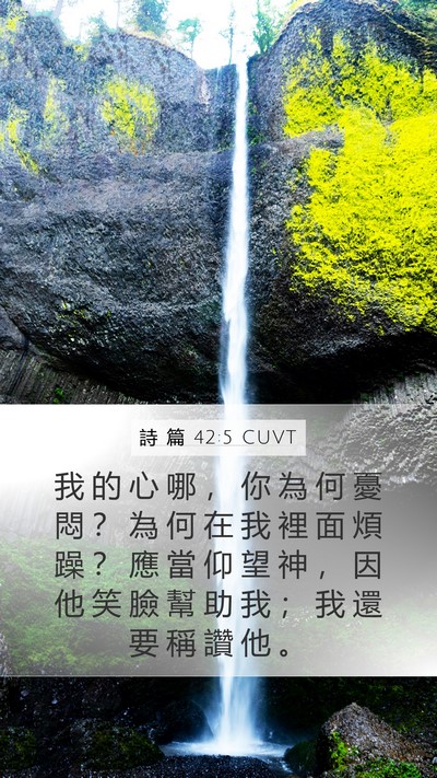詩 篇 42:5 CUVT Bible Verse Image