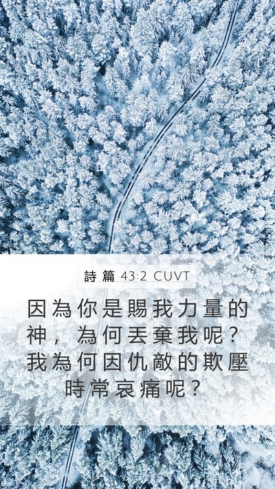 詩 篇 43:2 CUVT Mobile Phone Wallpaper - 因 為 你 是 賜 我 力 量 的 神 ， 為 - Mobile Bible Verse Wallpaper