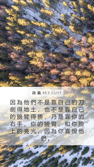 詩 篇 44:3 CUVT Bible Verse Image