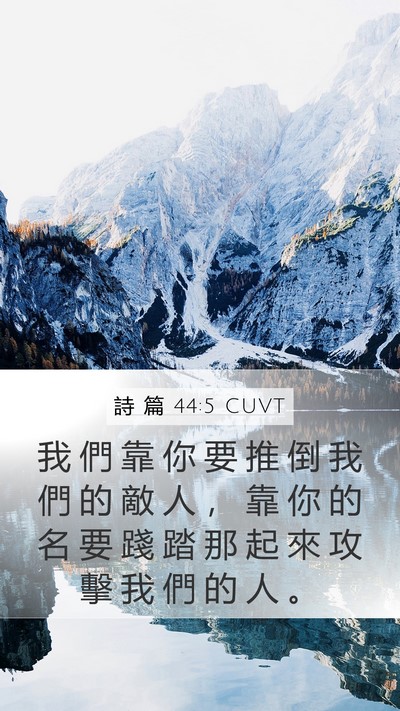 詩 篇 44:5 CUVT Mobile Phone Wallpaper - 我 們 靠 你 要 推 倒 我 們 的 敵 人 - Mobile Bible Verse Wallpaper