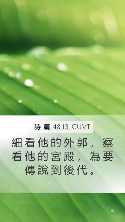 詩 篇 48:13 CUVT Mobile Phone Wallpaper - 細 看 他 的 外 郭 ， 察 看 他 的 宮 - Mobile Bible Verse Wallpaper