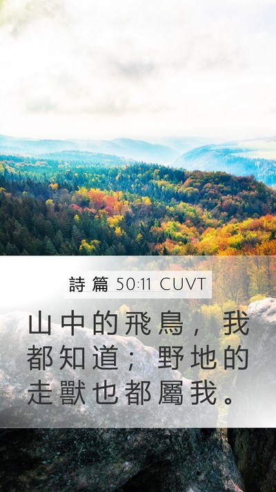 詩 篇 50:11 CUVT Bible Verse Image