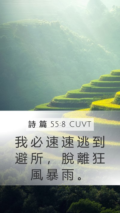 詩 篇 55:8 CUVT Bible Verse Image