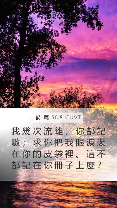 詩 篇 56:8 CUVT Bible Verse Image