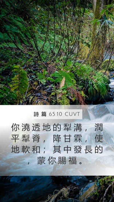 詩 篇 65:10 CUVT Bible Verse Image