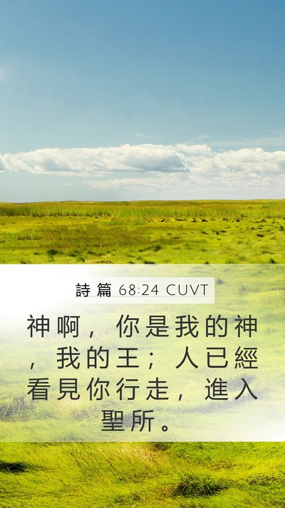 詩 篇 68:24 CUVT Mobile Phone Wallpaper - 神 啊 ， 你 是 我 的 神 ， 我 的 王 - Mobile Bible Verse Wallpaper