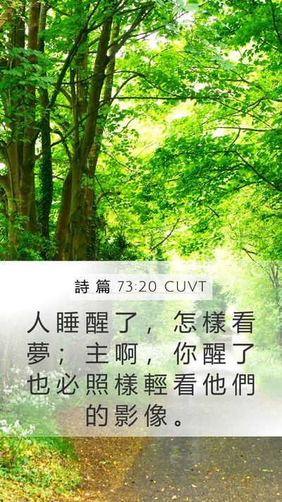 詩 篇 73:20 CUVT Bible Verse Image