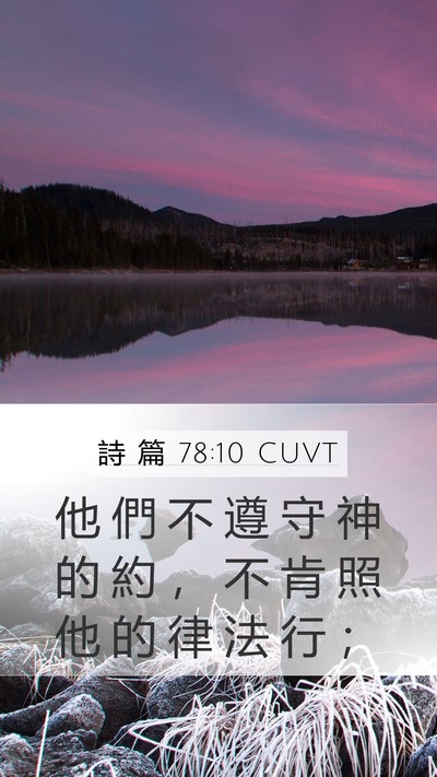 詩 篇 78:10 CUVT Bible Verse Image