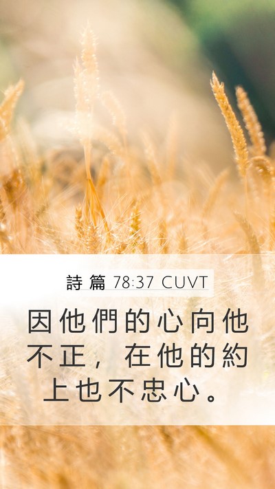 詩 篇 78:37 CUVT Bible Verse Image