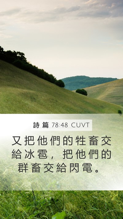 詩 篇 78:48 CUVT Bible Verse Image