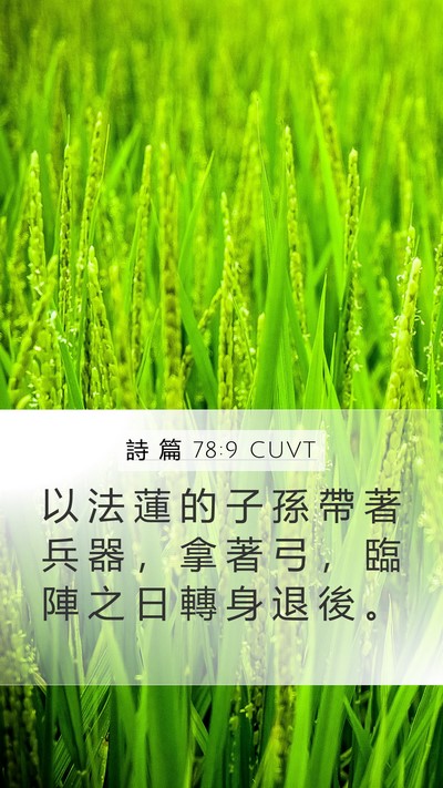 詩 篇 78:9 CUVT Mobile Phone Wallpaper - 以 法 蓮 的 子 孫 帶 著 兵 器 ， 拿 - Mobile Bible Verse Wallpaper