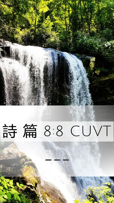 詩 篇 8:8 CUVT Bible Verse Image