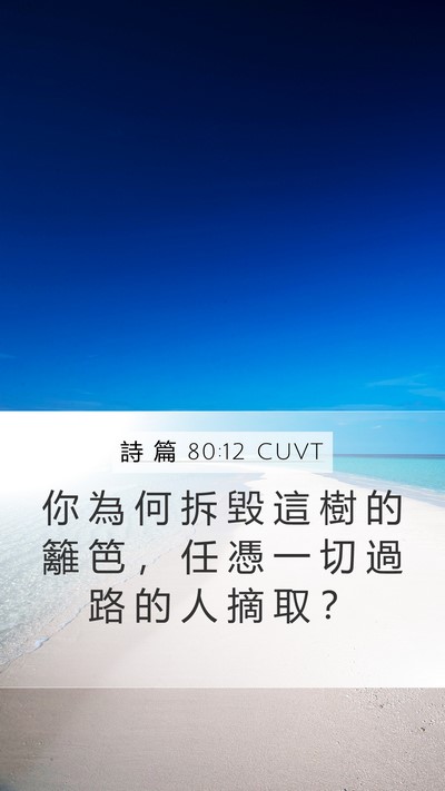 詩 篇 80:12 CUVT Mobile Phone Wallpaper - 你 為 何 拆 毀 這 樹 的 籬 笆 ， 任 - Mobile Bible Verse Wallpaper