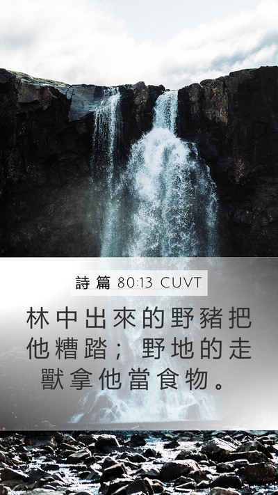 詩 篇 80:13 CUVT Mobile Phone Wallpaper - 林 中 出 來 的 野 豬 把 他 糟 踏 ； - Mobile Bible Verse Wallpaper