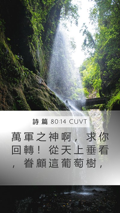 詩 篇 80:14 CUVT Bible Verse Image