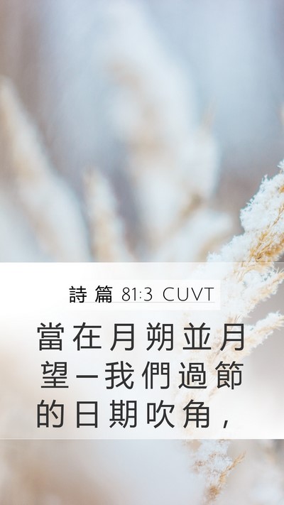 詩 篇 81:3 CUVT Bible Verse Image
