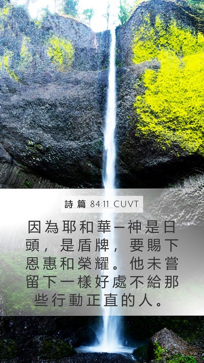 詩 篇 84:11 CUVT Bible Verse Image