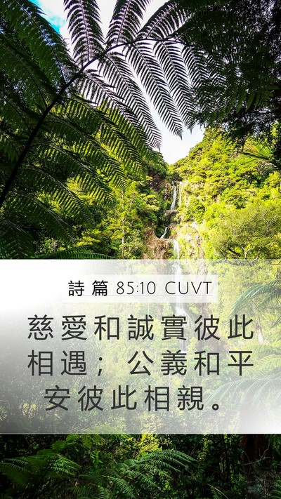 詩 篇 85:10 CUVT Bible Verse Image
