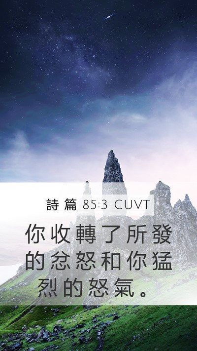 詩 篇 85:3 CUVT Bible Verse Image