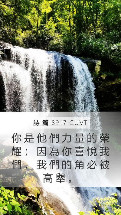 詩 篇 89:17 CUVT Bible Verse Image