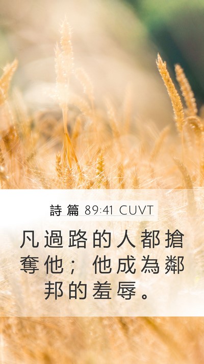 詩 篇 89:41 CUVT Bible Verse Image