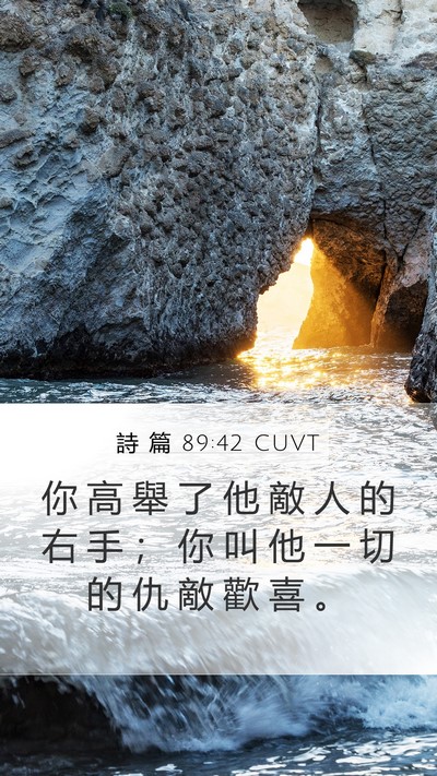 詩 篇 89:42 CUVT Mobile Phone Wallpaper - 你 高 舉 了 他 敵 人 的 右 手 ； 你 - Mobile Bible Verse Wallpaper