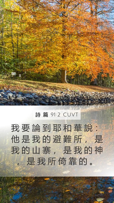 詩 篇 91:2 CUVT Bible Verse Image