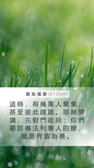 路 加 福 音 12:1 CUVT Bible Verse Image