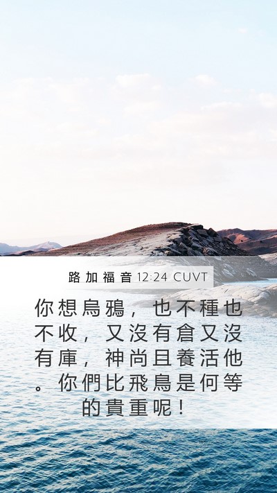 路 加 福 音 12:24 CUVT Bible Verse Image